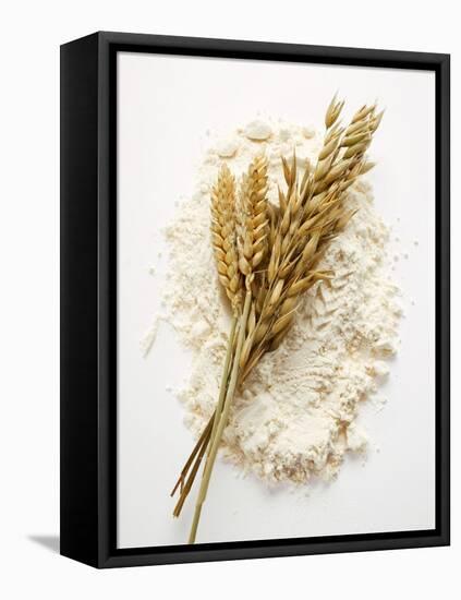 Ears of Wheat and Oats on Flour-null-Framed Stretched Canvas