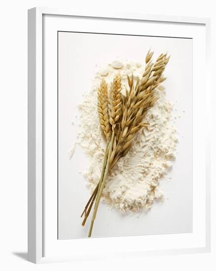 Ears of Wheat and Oats on Flour-null-Framed Photographic Print