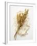 Ears of Wheat and Oats on Flour-null-Framed Photographic Print