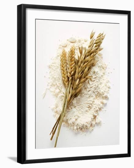 Ears of Wheat and Oats on Flour-null-Framed Photographic Print