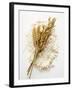 Ears of Wheat and Oats on Flour-null-Framed Photographic Print