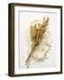 Ears of Wheat and Oats on Flour-null-Framed Photographic Print