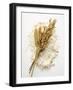 Ears of Wheat and Oats on Flour-null-Framed Photographic Print