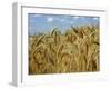 Ears of Wheat in Field-Monika Halmos-Framed Photographic Print