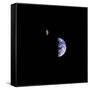 Earth and Moon in a Single Photographic Frame-null-Framed Stretched Canvas