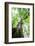 Earth and sky-Viviane Fedieu Danielle-Framed Photographic Print