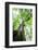 Earth and sky-Viviane Fedieu Danielle-Framed Photographic Print