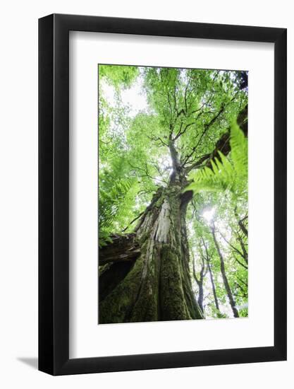 Earth and sky-Viviane Fedieu Danielle-Framed Photographic Print