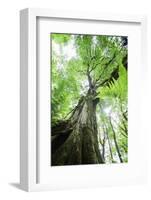 Earth and sky-Viviane Fedieu Danielle-Framed Photographic Print