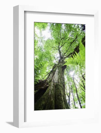 Earth and sky-Viviane Fedieu Danielle-Framed Photographic Print