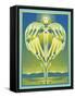 Earth Angel-David Chestnutt-Framed Stretched Canvas