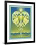 Earth Angel-David Chestnutt-Framed Giclee Print