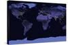 Earth at Night, Satellite Image-null-Stretched Canvas