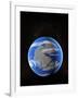 Earth At Time of Pangea-Christian Darkin-Framed Photographic Print