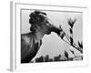 Earth Day, New York, New York, c.1970-null-Framed Photographic Print