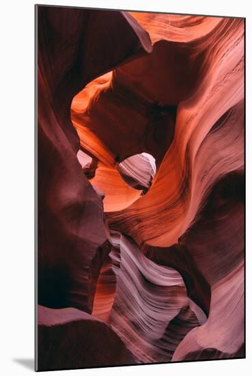 Earth Design, Antelope Canyon, Navajo Reservation, Arizona-Vincent James-Mounted Premium Photographic Print