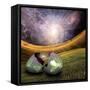 Earth Egg Is Hatched-rolffimages-Framed Stretched Canvas