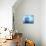 Earth Floating in Water-Kulka-Stretched Canvas displayed on a wall