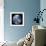 Earth From Space, Satellite Image-null-Framed Premium Photographic Print displayed on a wall