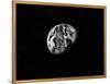 Earth From Space-Contemporary Photography-Framed Stretched Canvas
