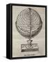 Earth Globe, 16th Century Artwork-Middle Temple Library-Framed Stretched Canvas