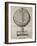 Earth Globe, 16th Century Artwork-Middle Temple Library-Framed Photographic Print