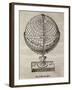 Earth Globe, 16th Century Artwork-Middle Temple Library-Framed Photographic Print