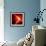 Earth in Space with a Flying Asteroid, Abstract Background-molodec-Framed Photographic Print displayed on a wall