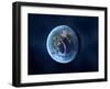 Earth-Like Alien Planet, Artwork-null-Framed Photographic Print