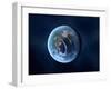 Earth-Like Alien Planet, Artwork-null-Framed Photographic Print