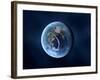 Earth-Like Alien Planet, Artwork-null-Framed Photographic Print