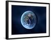 Earth-Like Alien Planet, Artwork-null-Framed Photographic Print