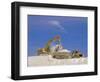 Earth Removal, Jcbs/Diggers, Construction Industry-G Richardson-Framed Photographic Print