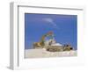 Earth Removal, Jcbs/Diggers, Construction Industry-G Richardson-Framed Photographic Print