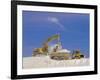 Earth Removal, Jcbs/Diggers, Construction Industry-G Richardson-Framed Photographic Print