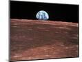 Wood Mount