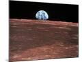 Wood Mount