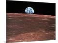 Wood Mount