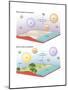 Earth's Prebiotic and Modern Atmosphere. Evolution of Atmosphere, Earth Sciences-Encyclopaedia Britannica-Mounted Poster