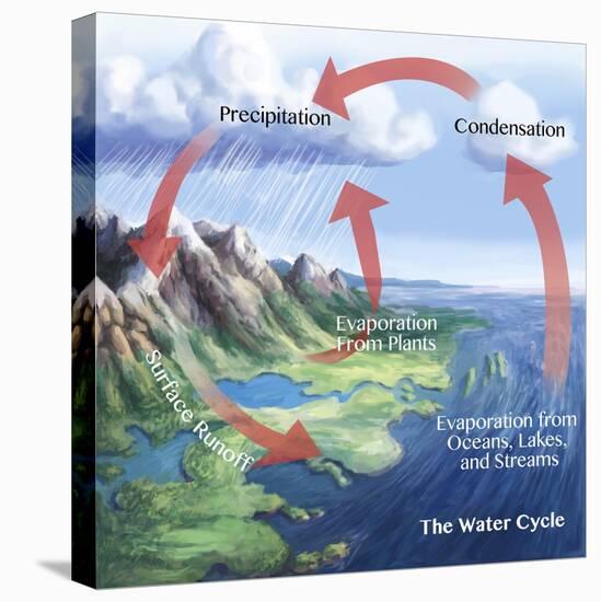 Earth's Water Cycle-Spencer Sutton-Stretched Canvas