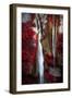 Earth Song-Philippe Sainte-Laudy-Framed Photographic Print
