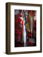 Earth Song-Philippe Sainte-Laudy-Framed Photographic Print