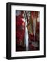 Earth Song-Philippe Sainte-Laudy-Framed Photographic Print