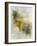 Earth Tones California-Ken Roko-Framed Art Print