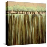 Earth Tones I-Rita Vindedzis-Stretched Canvas