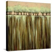 Earth Tones I-Rita Vindedzis-Stretched Canvas