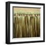 Earth Tones I-Rita Vindedzis-Framed Art Print