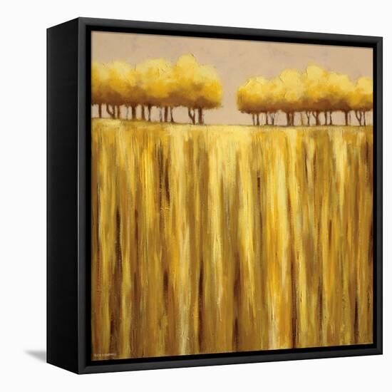 Earth Tones II-Rita Vindedzis-Framed Stretched Canvas