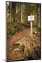 Earth Trench, Nature Trail, Forest, Grainau, Upper Bavaria-Frina-Mounted Photographic Print