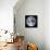 Earth View from Apollo 17 Moon Mission-null-Framed Stretched Canvas displayed on a wall